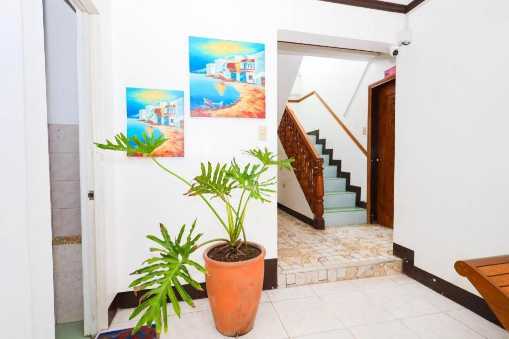 Mayon Backpackers Hostel Легазпи Екстериор снимка